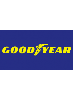 Goodyear Lastik Grubu